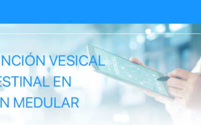 curso 4